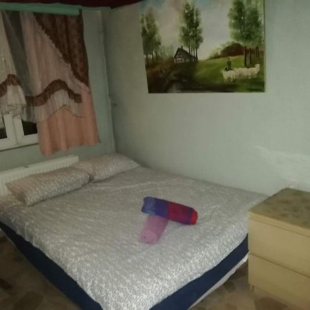 Room In Studio - Studio Nearby Central Station 安特卫普 外观 照片